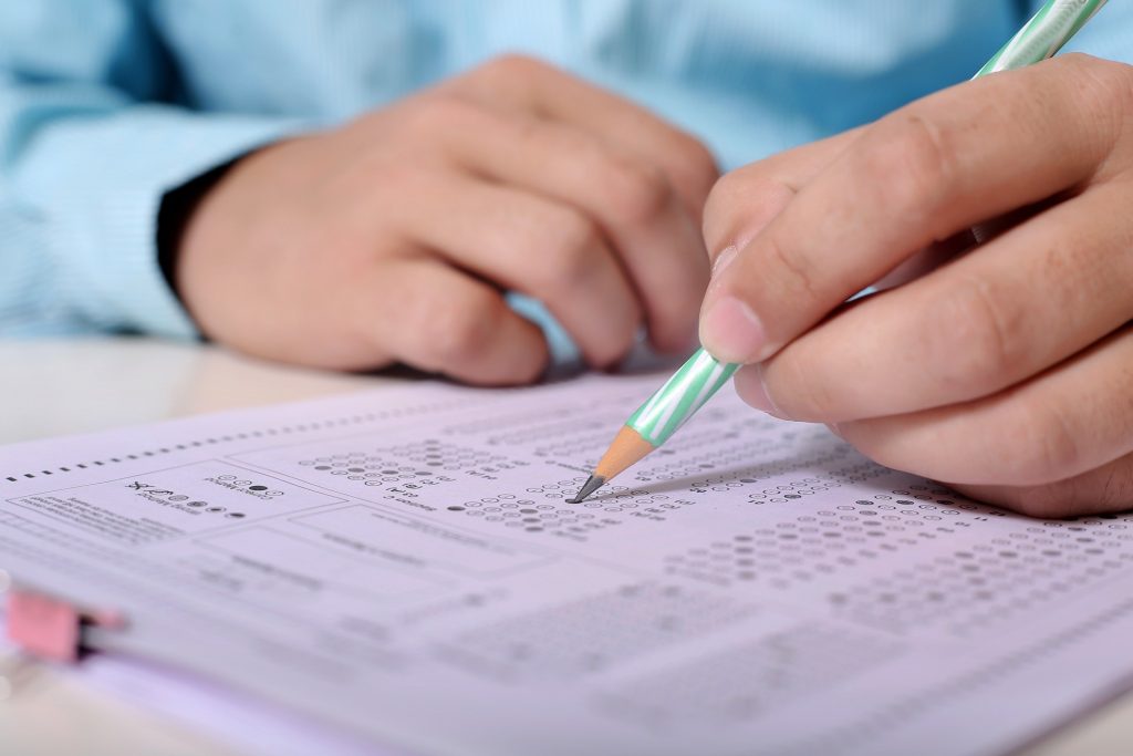 Concurso do Conselho Regional de Medicina Veterinária abre vagas com salários que podem chegar a R$ 4,8 mil