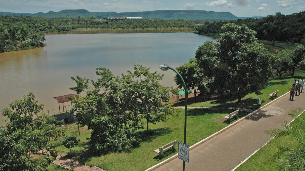 Prefeitura coleta amostras para investigar causa da morte de macaco no Parque Cesamar, em Palmas