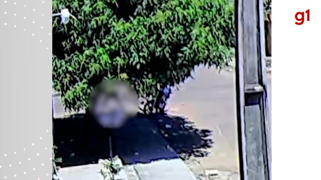 Corpo de homem espancado com socos até a morte após discussão é identificado