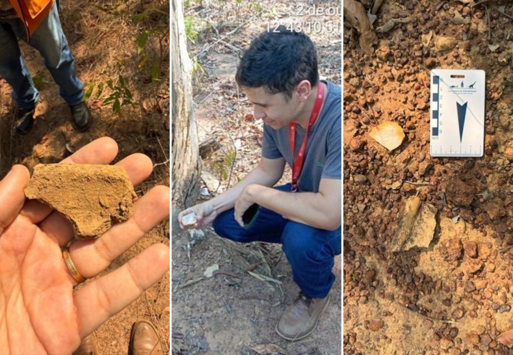Família descobre sítio arqueológico durante escavação para construir cerca em fazenda no Tocantins