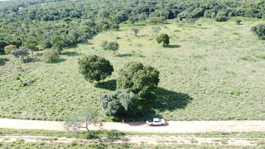 Mecânico é avistado por drone e equipe usa trator para diminuir pasto na região de buscas