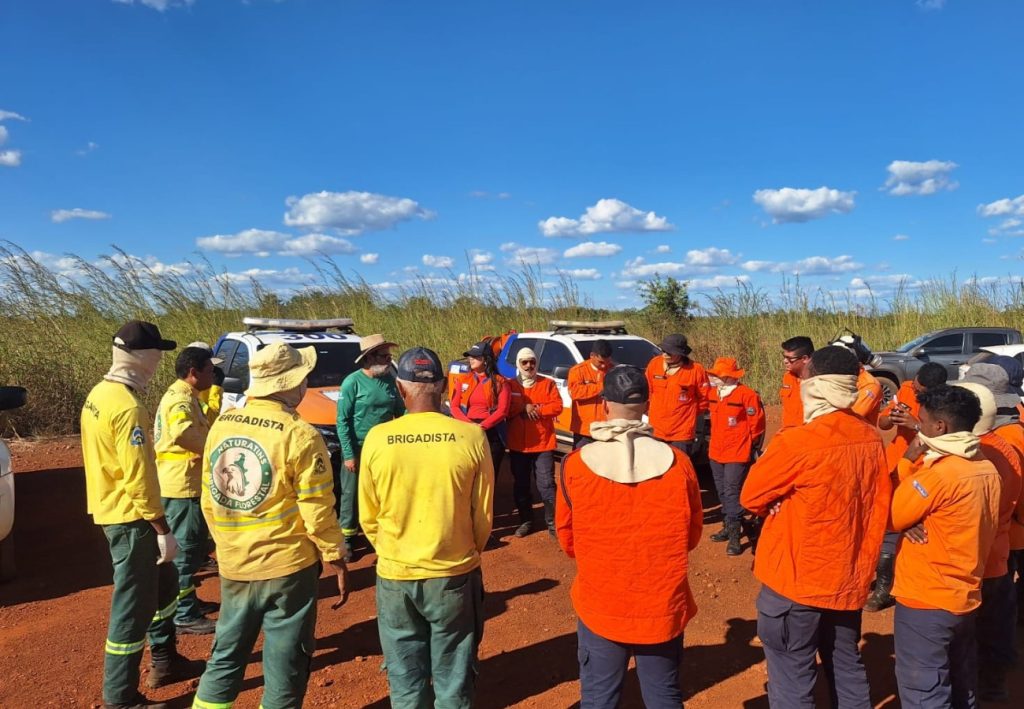 Agentes da Defesa Civil de Palmas passam por treinamento sobre uso controlado do fogo; entenda