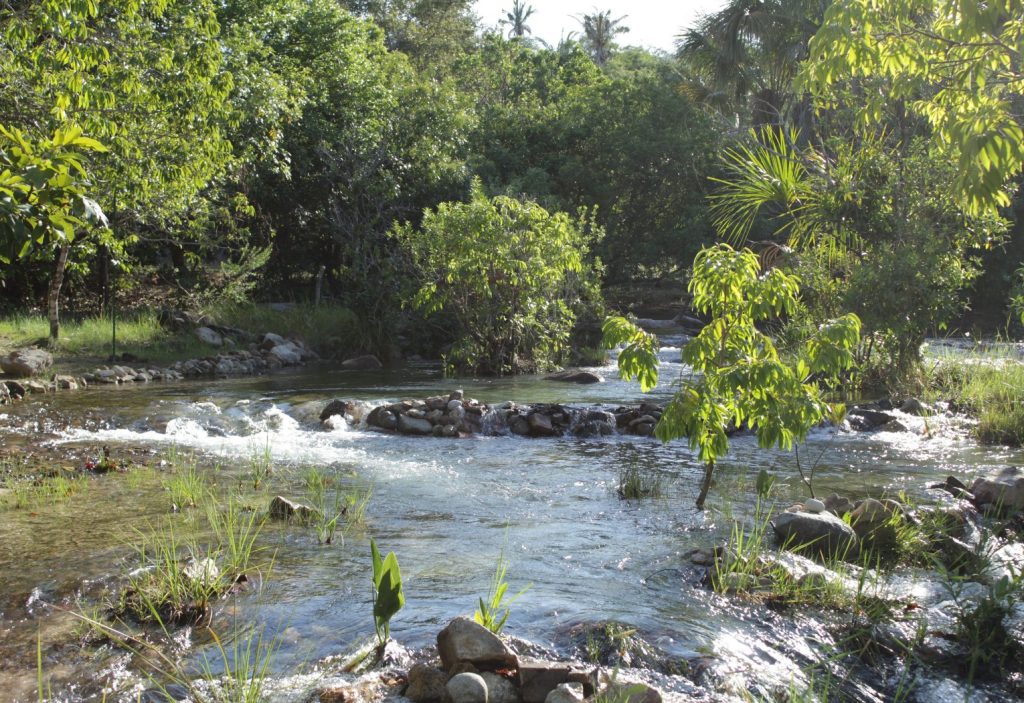 Águas cristalinas e tranquilidade: saiba como chegar ao ‘Caribe do Cerrado’ no TO