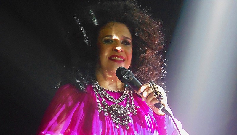 Luminosidade do cristal de Gal Costa reluz no 81º aniversário da cantora porque ‘coisas sagradas permanecem’
